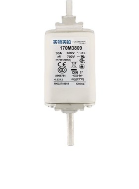 熔断器/保险丝170M6469 170M6470 170M6471 170M6472