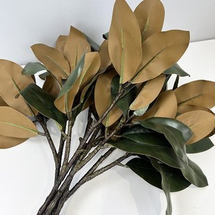 工厂直销仿真玉兰花苞仿真玉兰叶绿色叶子仿真植物仿真树配材