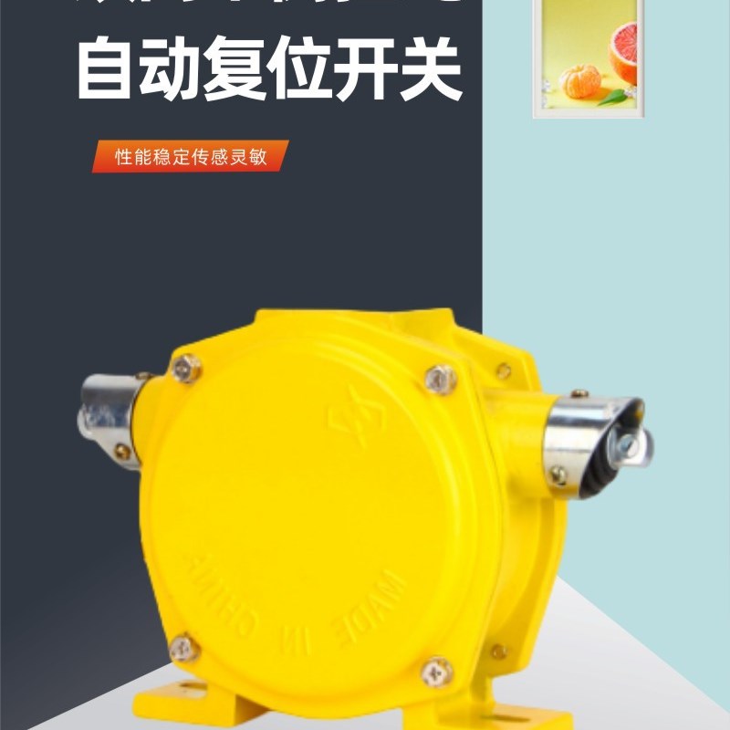 YHLS双向平衡拉绳开关 HFKLT2拉绳拉线开关 TYPE:YHPLS-I自动复位