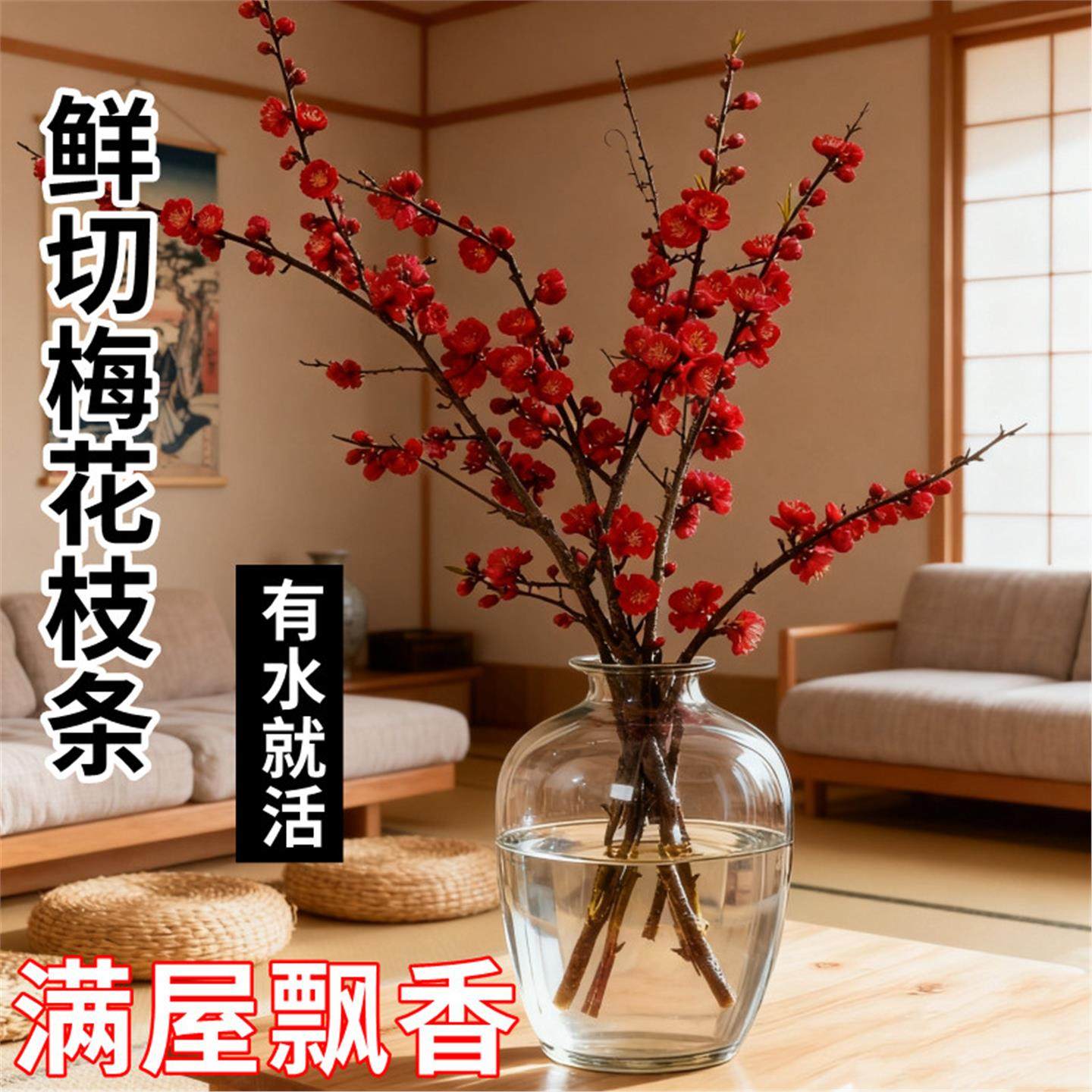 水培花卉红梅鲜枝腊梅枝条干枝室内植物秋冬季耐寒耐冻梅花盆栽,鲜花速递/花卉仿真/绿植园艺,时令草本花卉,淘宝优惠券,粉丝福利购,淘宝优惠卷