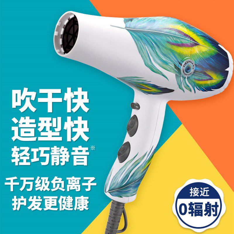 火之凤8960吹风机发型师专用理发店发廊家用速干负离子吹风筒8300