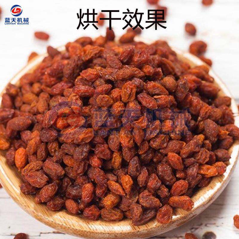沙棘果烘干机 空气能黑水刺柳果脱烘干设醋备 酸药材烘刺干烘ELE