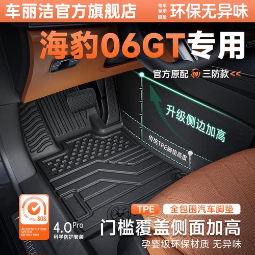 适用比亚迪海豹06GT包门槛脚垫