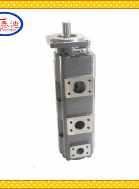 供应GSA3080/63/CBXF3040-118R三联齿轮泵 重科50T吊车1010000019