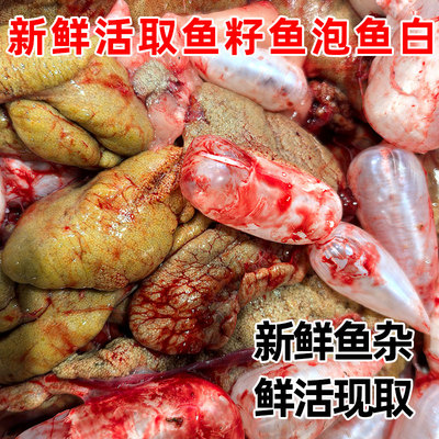 鲤鱼现取鱼籽鱼泡鱼白鱼杂