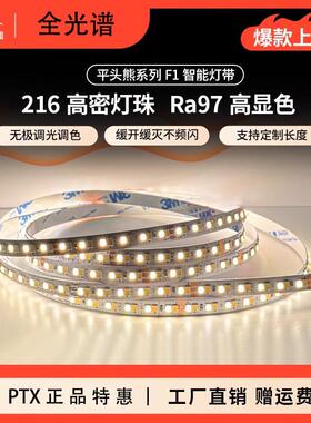 平头熊智能F1火星灯带216珠一灯一剪双色温调光控制器led低压24V