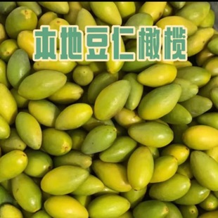 潮汕现摘现发新鲜豆橄榄果青橄榄青枣酥脆回甘无渣油甘果孕妇水果