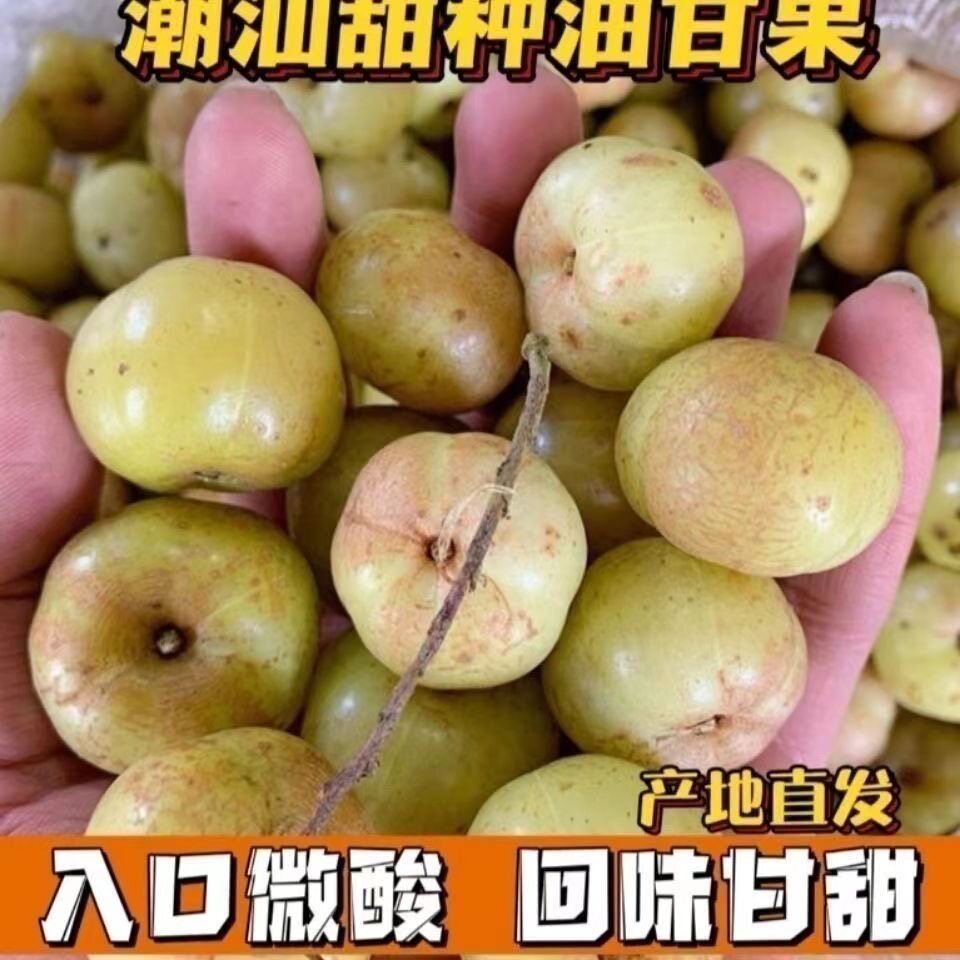 普宁崩坎新鲜甜油甘果