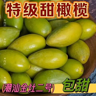 金灶甜种冰糖特产现摘橄榄新鲜青果二号潮汕孕妇水果生吃无渣正宗