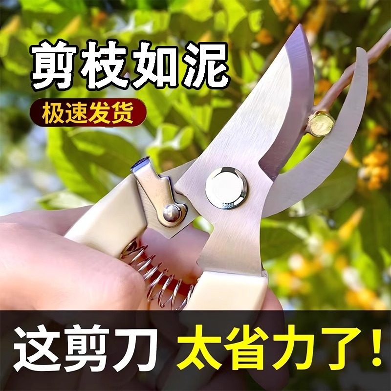 Beechip园艺剪果树修枝剪神器花园剪树枝剪花卉嫁接园林家用修剪