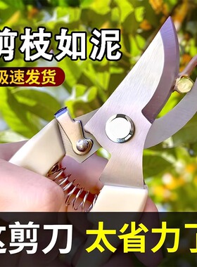 Beechip园艺剪果树修枝剪神器花园剪树枝剪花卉嫁接园林家用修剪