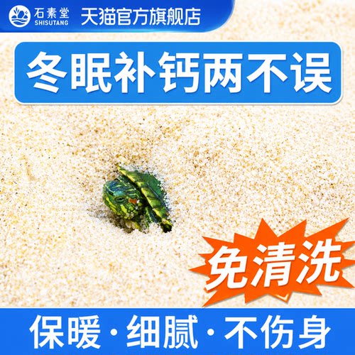 乌龟冬眠孵化细河沙鱼缸装饰