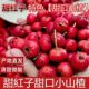 甜山楂新鲜山东山楂应季 水果现摘水果炒糖雪球专用山楂球小野山楂