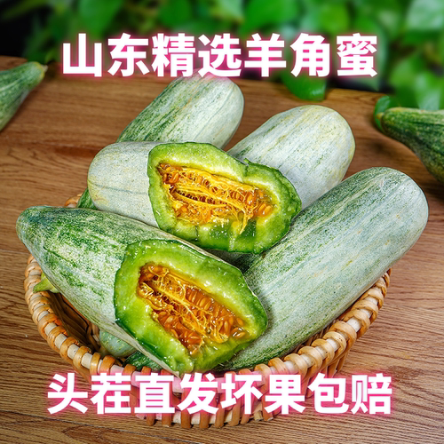 山东羊角蜜甜瓜新鲜直发包赔