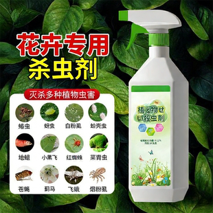 杀虫药花卉植物月季 花病虫害常用药蚜虫小黑飞非红蜘蛛蚂蚁专用剂