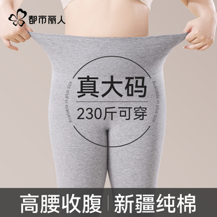 秋冬季 都市丽人纯棉高腰保暖裤 内穿秋裤 胖mm打底线裤 女加肥加大码
