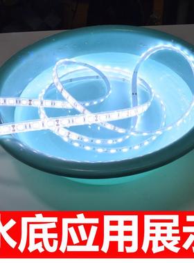 led灯带 12V5050套管灌胶正白光贴片软灯条户外防水鱼缸装饰灯带