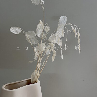 优选干花花束 客厅摆设ins风永生花高级感轻奢真花样板房插花家居