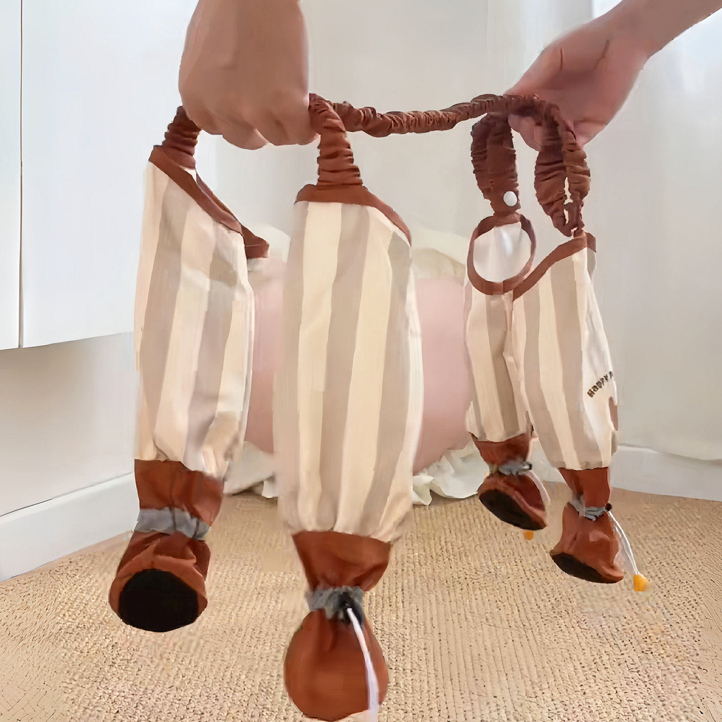 【遛狗狗外出防脏神器】四角防尘裤连脚包脚肚防水脏泰迪比熊宠物,宠物/宠物食品及用品,狗宠物服装/雨衣,淘宝优惠券,粉丝福利购,淘宝优惠卷