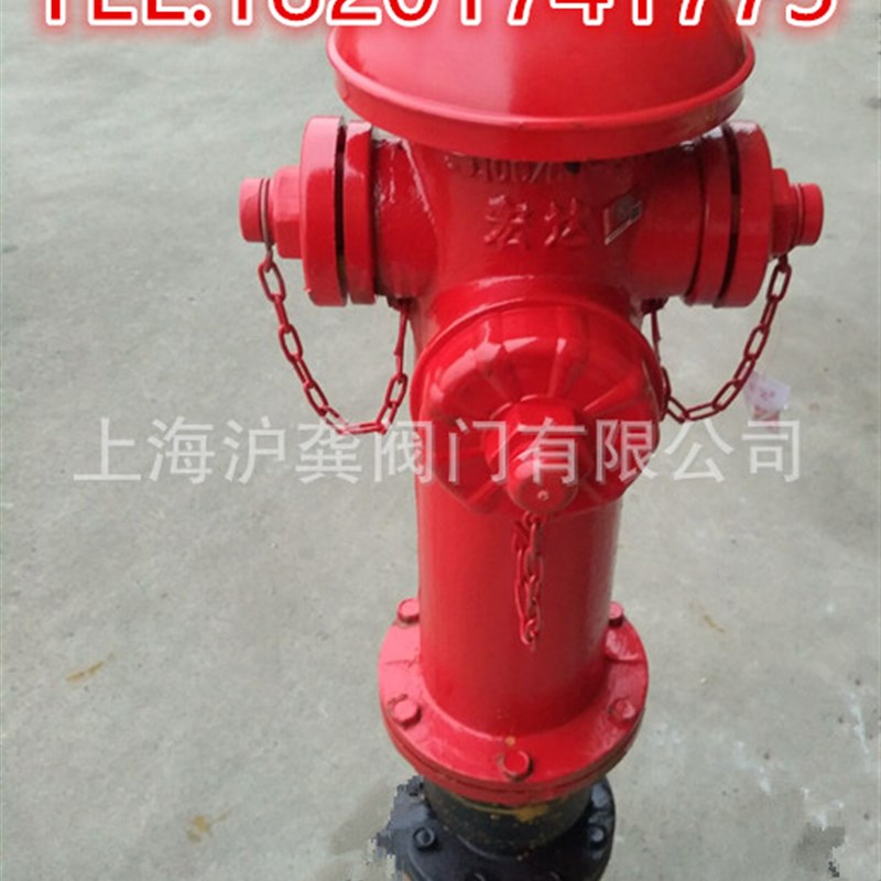 鼎梁室外栓 山东鼎梁地上栓 室外消火栓 水泵接合器 SS100/65-1.6