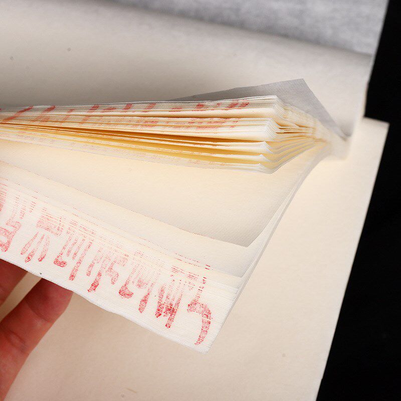 蝉翼熟宣纸超薄扎花透明工笔画临摹过稿珠光云母国画仿古宣纸工笔