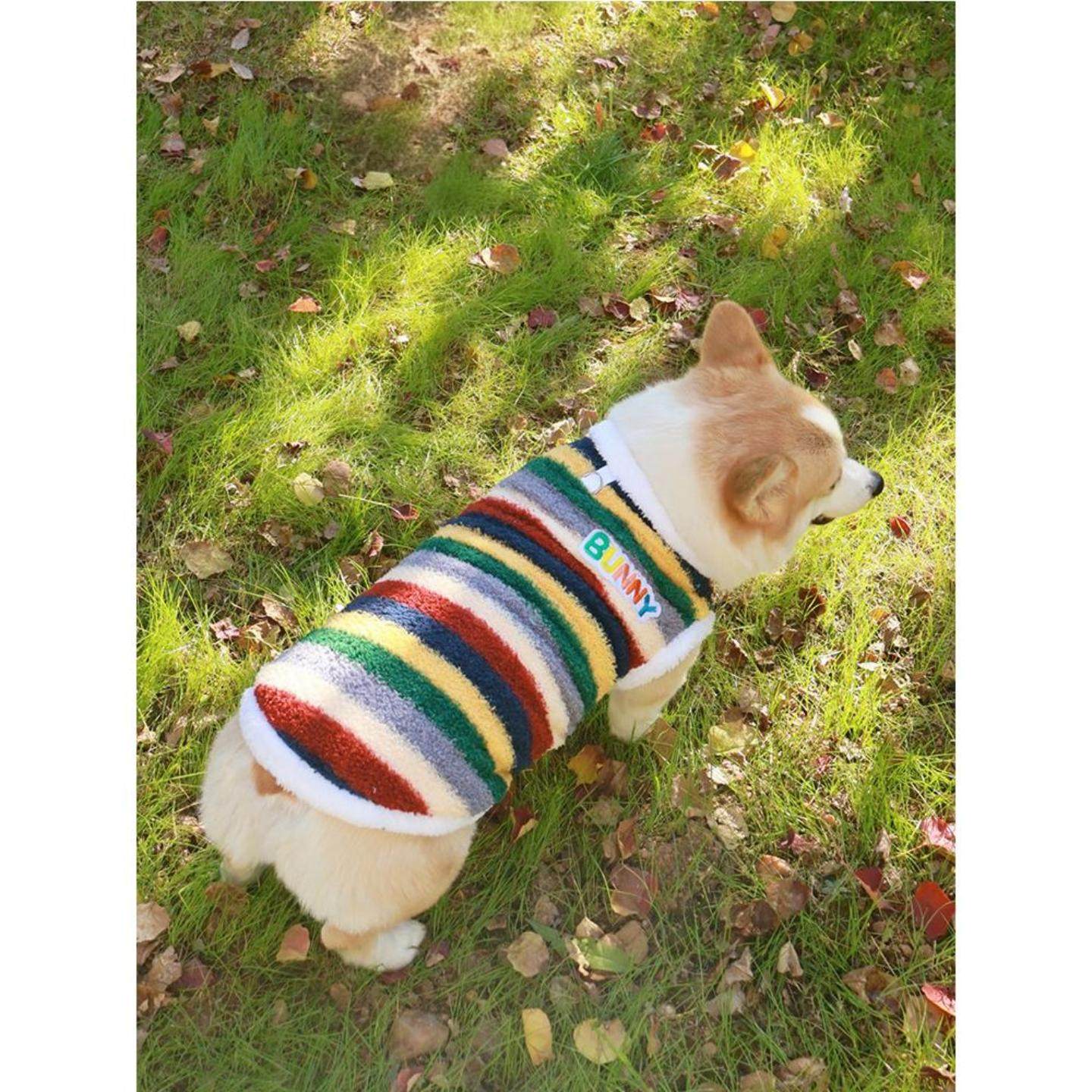 狗狗衣服秋冬天柯基柴犬比熊泰迪加绒保暖防寒两脚衣背心宠物马甲,宠物/宠物食品及用品,猫宠物服装/雨衣（新）,淘宝优惠券,粉丝福利购,淘宝优惠卷