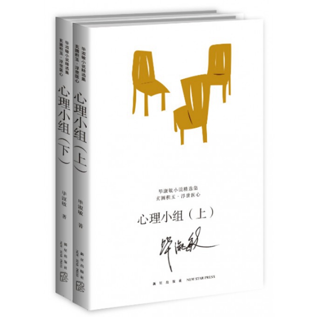 毕淑敏小说精选集:心理小组（全2册）97875133247009787513324700新星毕淑敏
