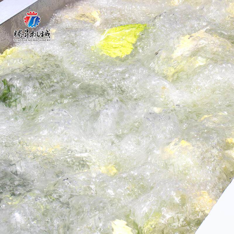 工厂直销 清果蔬气泡洗机李子辣椒蓝莓VYB大多洗功能商枣用杀菌菜
