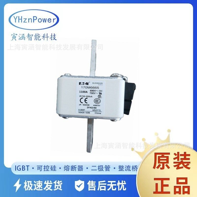 170M6690170M6744 170M6691170M6745全新 原装熔断器/保险丝