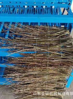 电动稻草芦苇编织机防风沙cai新款皮带款草帘机