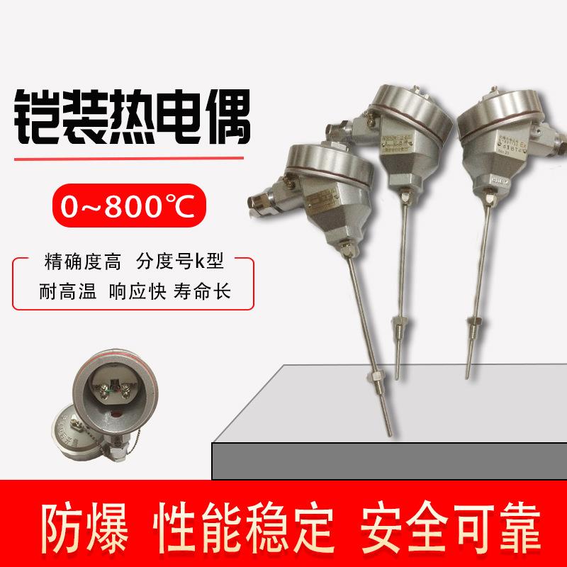 上仪WRNK-240防爆铠装热电偶工业K分度本安不锈钢上海仪表三厂