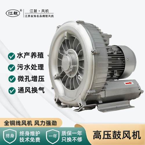 高压罗茨鼓风机鱼塘增氧污水处理双叶轮高压鼓风机漩涡气泵