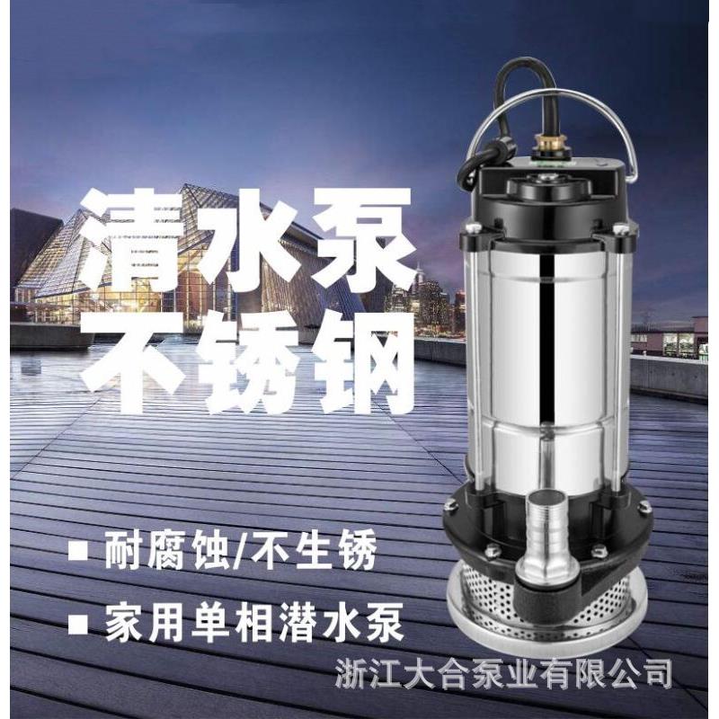 不锈钢小型潜水泵220V清水泵农用单相高压微型边立式抽水泵潜污泵