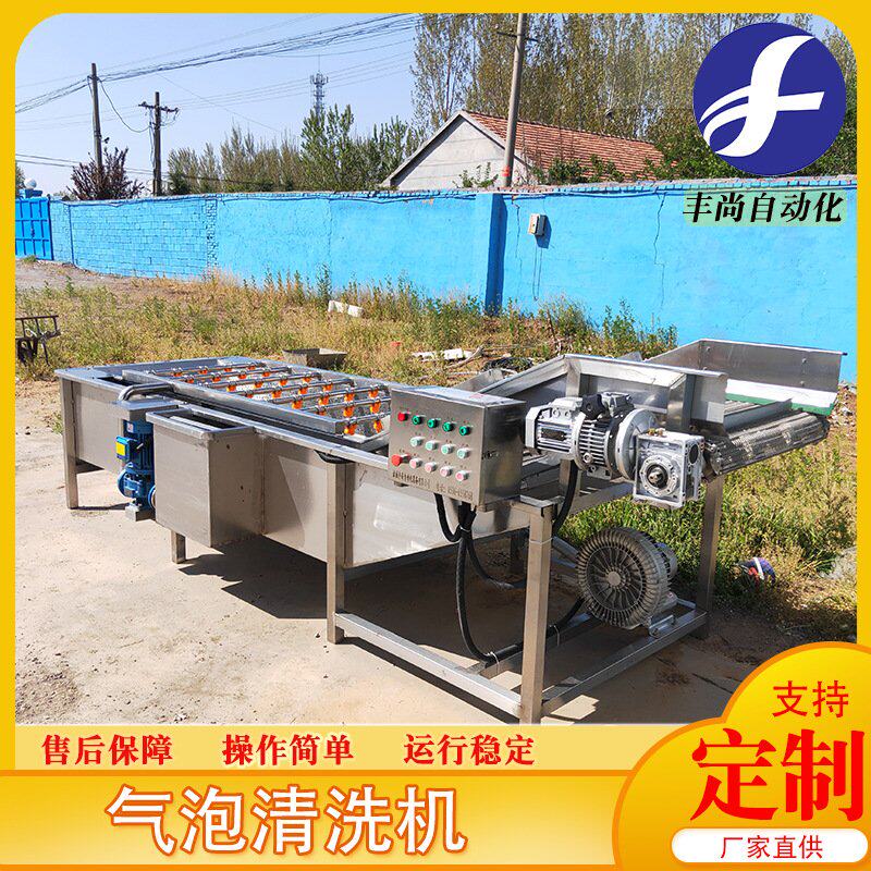 商用翻浪黄花菜清洗机 喷淋式蔬菜加工设备 去杂质气泡清洗流水线