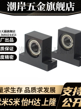 BHF51-6902-6002-6903-6003-6904-6004-6005-6006 双轴承带座轴承