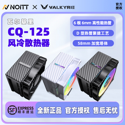 瓦尔基里CQ125风冷散热器