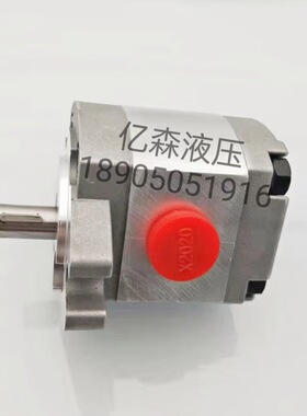 KOMPASS康百世齿轮泵P101/104/105/106/107108/127/135/211RP01GT