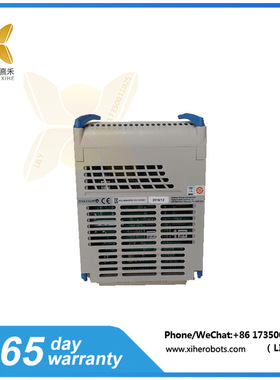 1C31147G01/1C31181G01数字输入输出模块 EMERSON