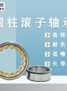 德国KBTBK进口圆柱滚子轴承N328 N330 N332 N334 N336EM