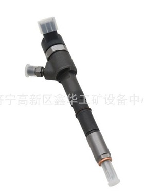 专业销售发动机配件RE527598喷油器油泵 RE48786