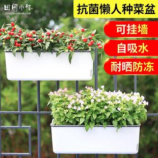 懒人花盆种菜盆免浇水家庭蔬菜花卉种植箱大号长条塑料壁挂花盆