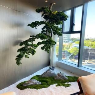 挂松倒挂侧挂墙挂迎松崖式松枝新中式景观入口园林绿化植物