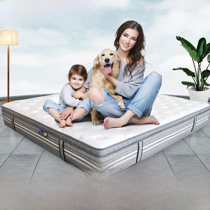 卧铺老虎床垫乳胶榻榻米席梦思弹簧加厚海绵1.68m m软硬Puss -2