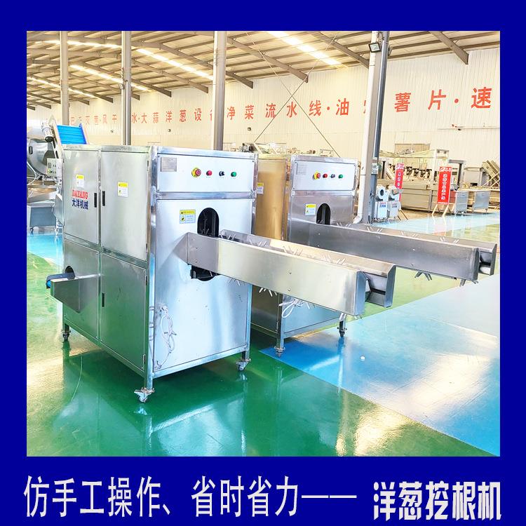 商用洋葱挖根机输送式挖根设备双头固定洋葱酥加工设备石榴挖根机