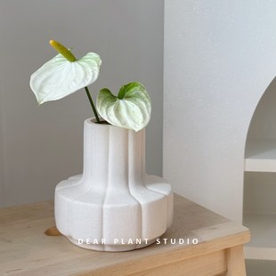 亲爱 饰简 绿植花瓶摆件客厅插花陶瓷电视柜床头酒R柜玄关桌面装
