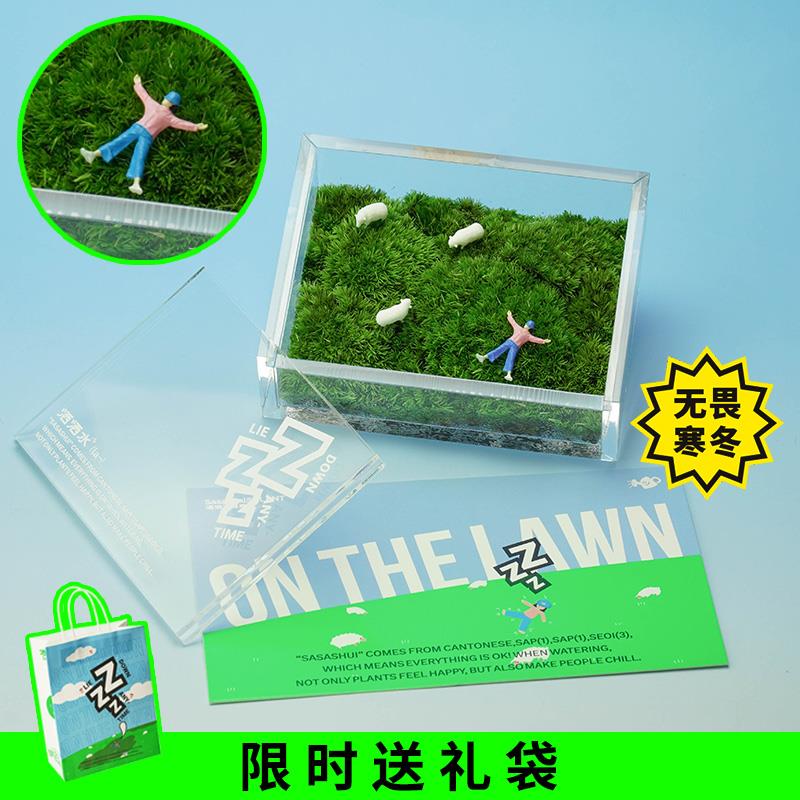 私人草坪微景观苔藓室内桌面好养盆栽创意圣诞礼物