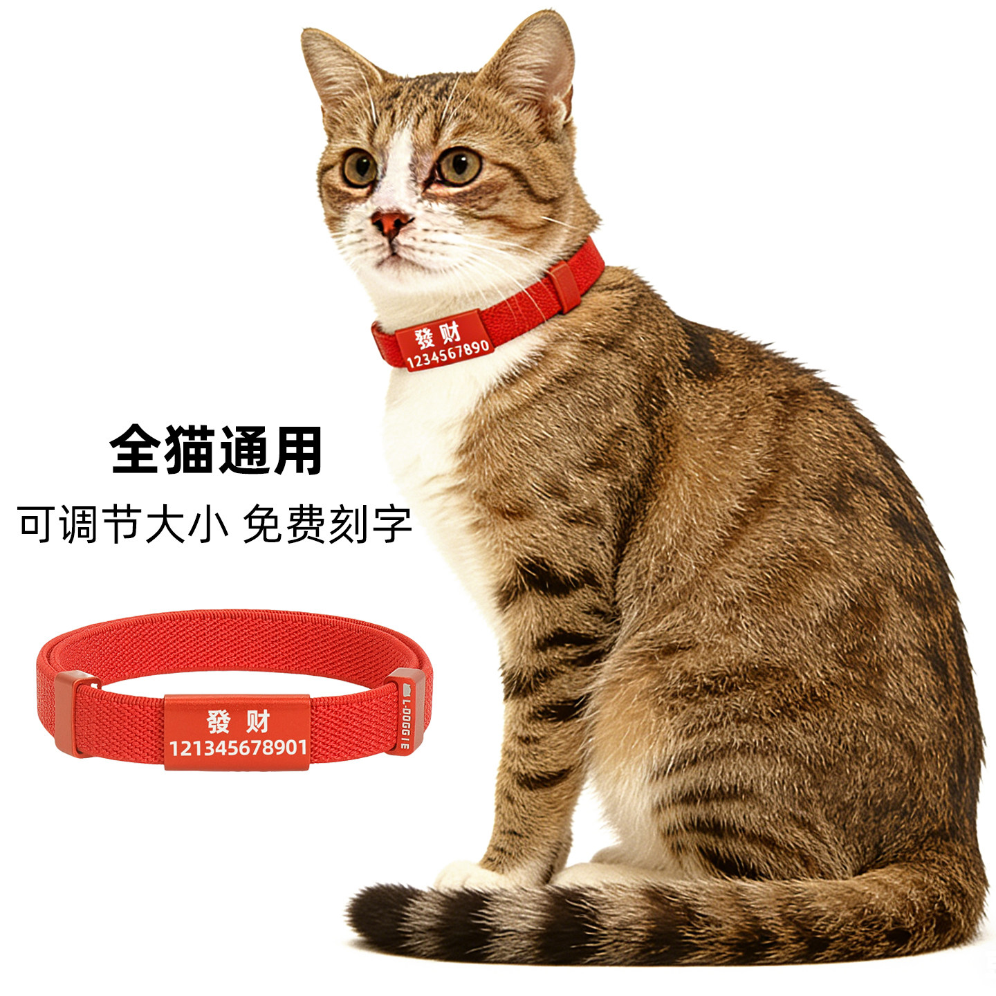 猫咪项圈刻字防丢失脖套猫牌定制铃铛项链宠物身份防窒息可调节