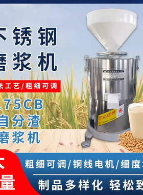 沧州昌鸿珺狮兴狮昌达牌DM-Z175CB4000W国标铜线浆渣分离式磨浆机