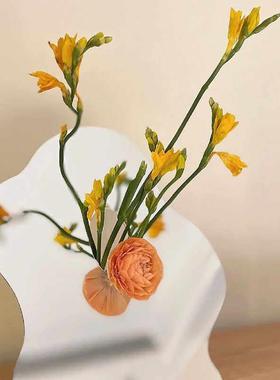 创意镜面相框花瓶ins风治愈系氛围感插花摆件客厅餐桌亚克力装饰