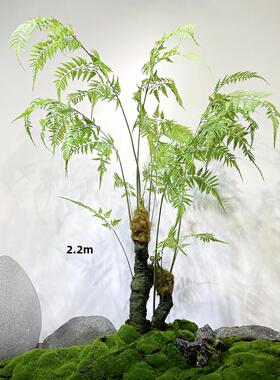 模拟蕨类草树盆栽自然森林风格金丝禅猴头蕨类绿色植物装饰庭院景